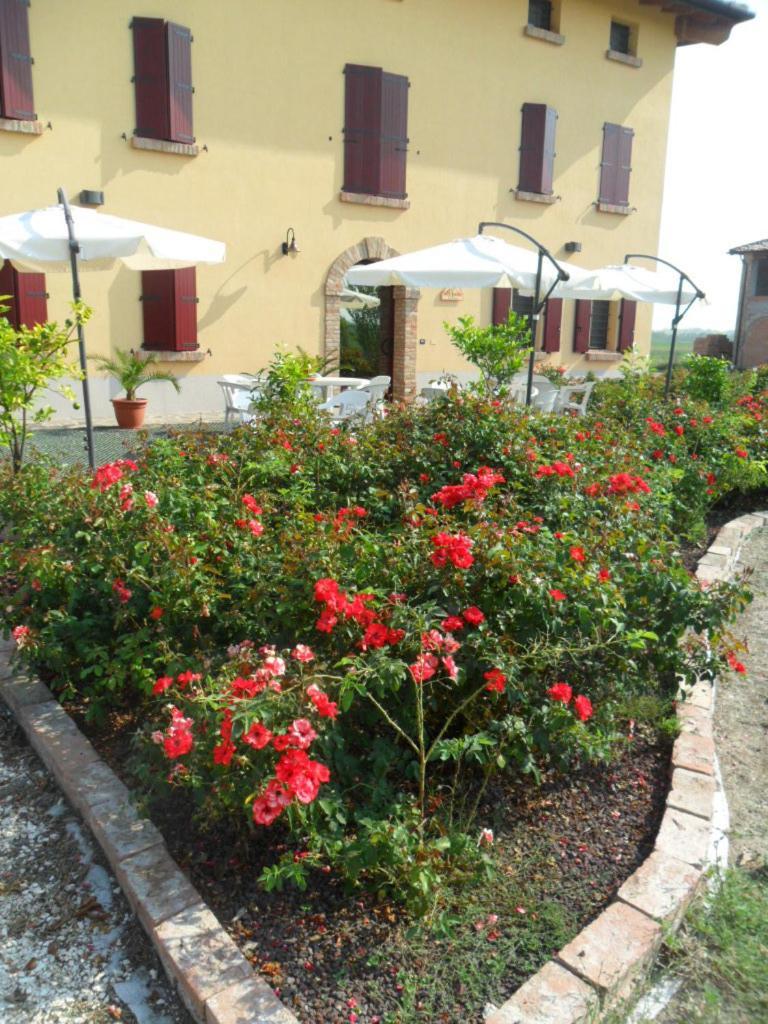 Agriturismo Al Navile Malalbergo المظهر الخارجي الصورة