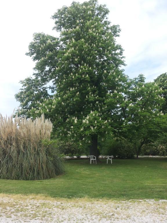 Agriturismo Al Navile Malalbergo المظهر الخارجي الصورة