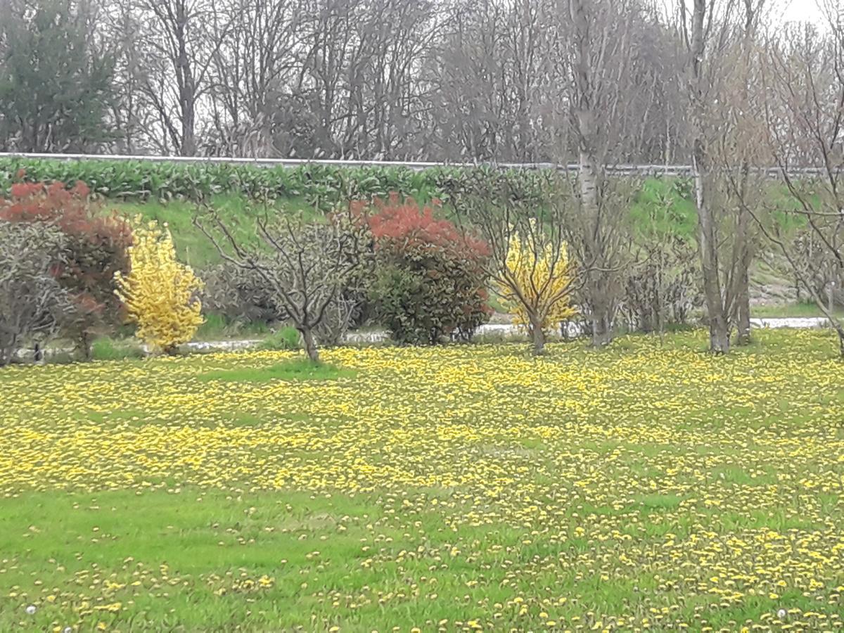 Agriturismo Al Navile Malalbergo المظهر الخارجي الصورة